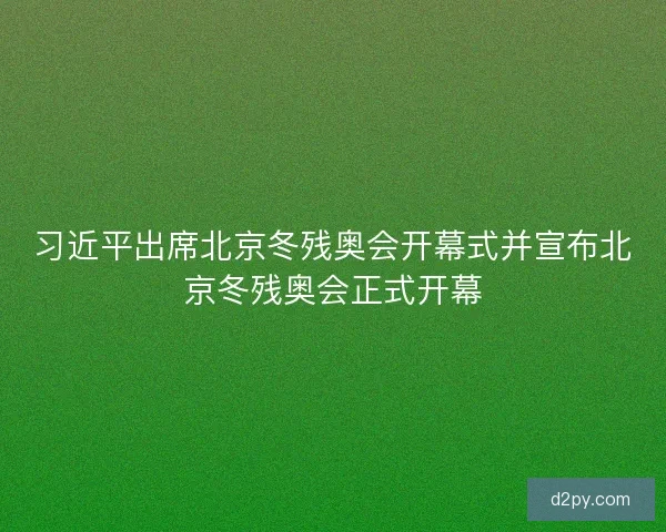 习近平出席北京冬残奥会开幕式并宣布北京冬残奥会正式开幕